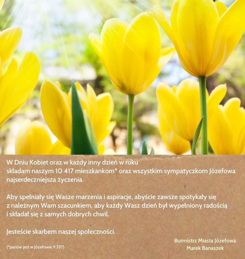 Żółte tulipany i życzenia z okazji Dina Kobiet