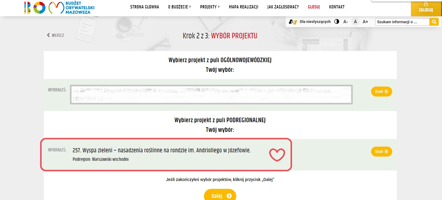 Screen z zaznaczonym projektem 257