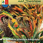 Okładka numeru - palmy wielkanocne