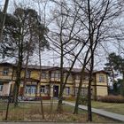budynek drewniany w kolorze beżowym wśród drzew