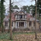 Zniszczony budynek murowany wśdód drzew