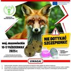 akcja szczpienia lisow - plakat informacyjny
