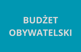 Budżet Obywatelski na 2025